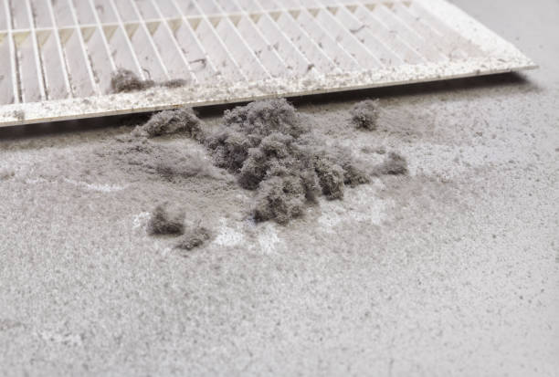 Best Local Air Duct Cleaning Services  in Sacred Heart University, CT